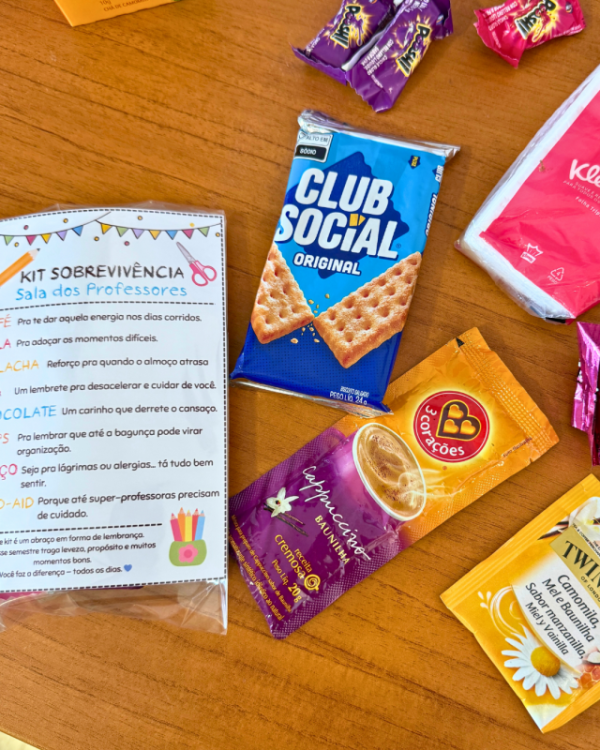 Kit de Sobrevivência para Profes - Imagem 7